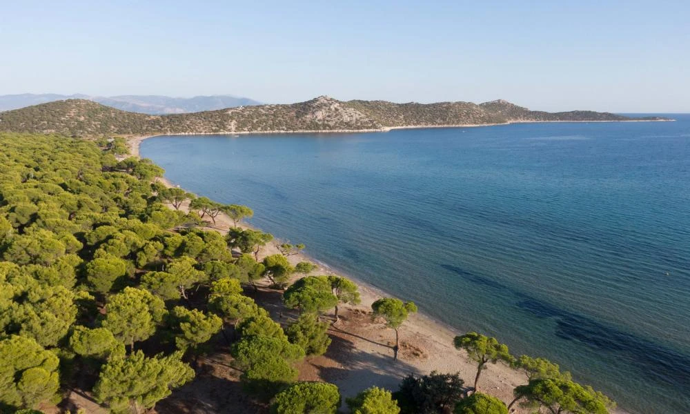 Μαραθώνας: Το στοιχείο που θα ρίξει φως στο θρίλερ με το πτώμα